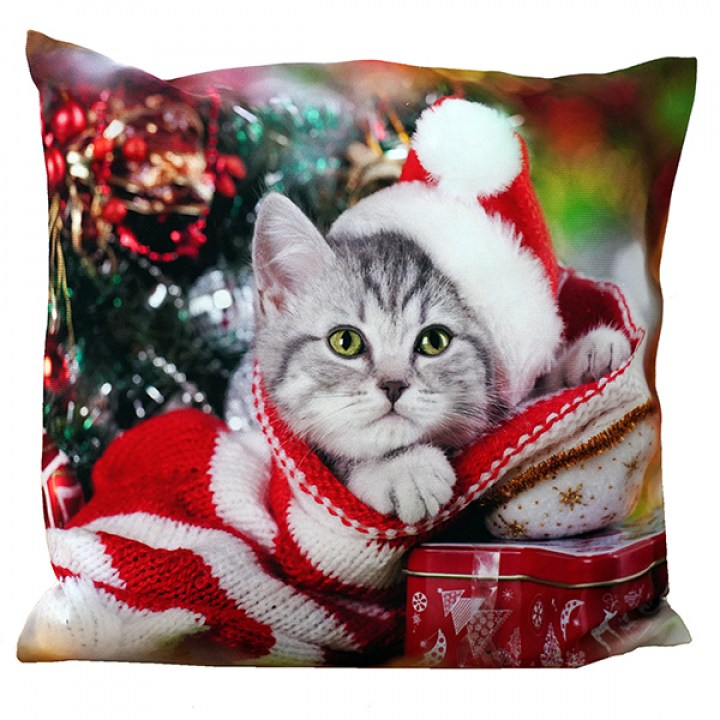 w_370-31_kh katze mit weihnachtsmütze_gross